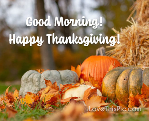 10 Good Morning Happy Thanksgiving Pictures, Quotes And Sayings For 2022 - picture 9