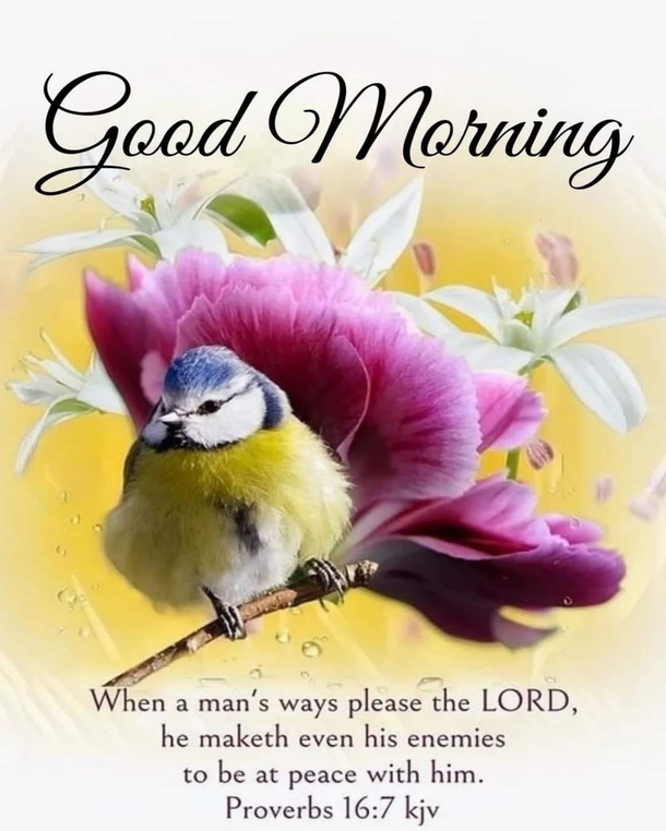 10 Good Morning Image Quotes For A Cheery, Inspiring And Beautiful Day - picture 2
