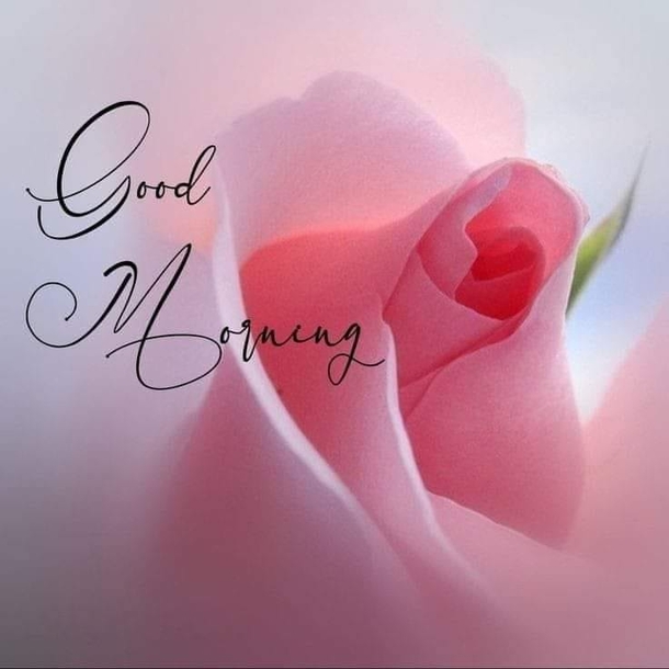 10 Good Morning Image Quotes For A Cheery, Inspiring And Beautiful Day - picture 6