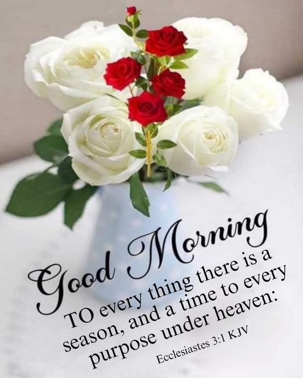 10 Good Morning Image Quotes For A Cheery, Inspiring And Beautiful Day - picture 7