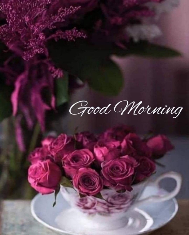 10 Good Morning Image Quotes For A Cheery, Inspiring And Beautiful Day - picture 8