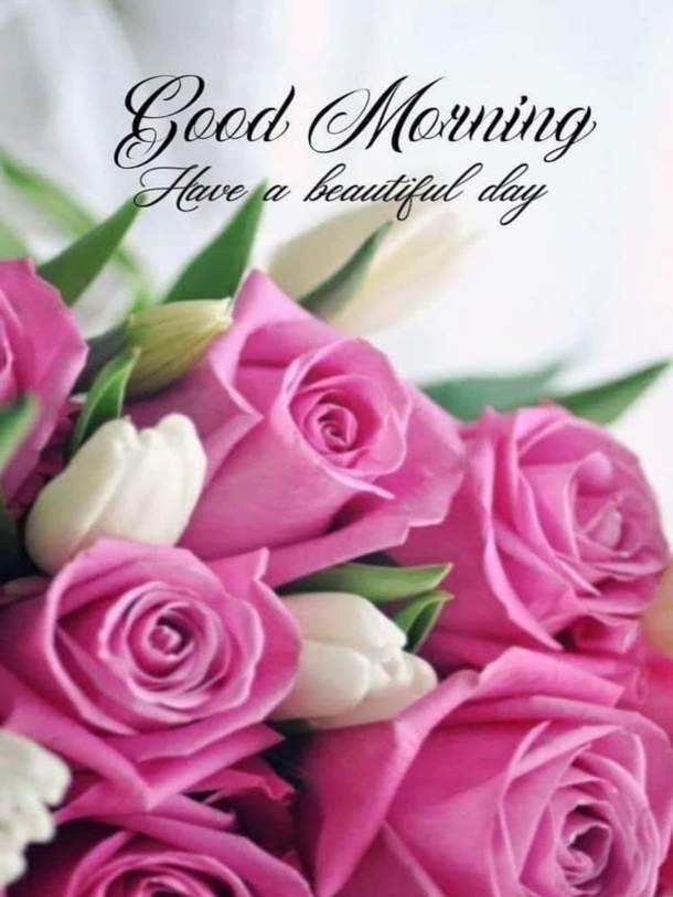 10 Good Morning Image Quotes For A Cheery, Inspiring And Beautiful Day - picture 9