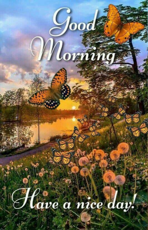 10 Good Morning Images To Jumpstart Your Day - picture 13