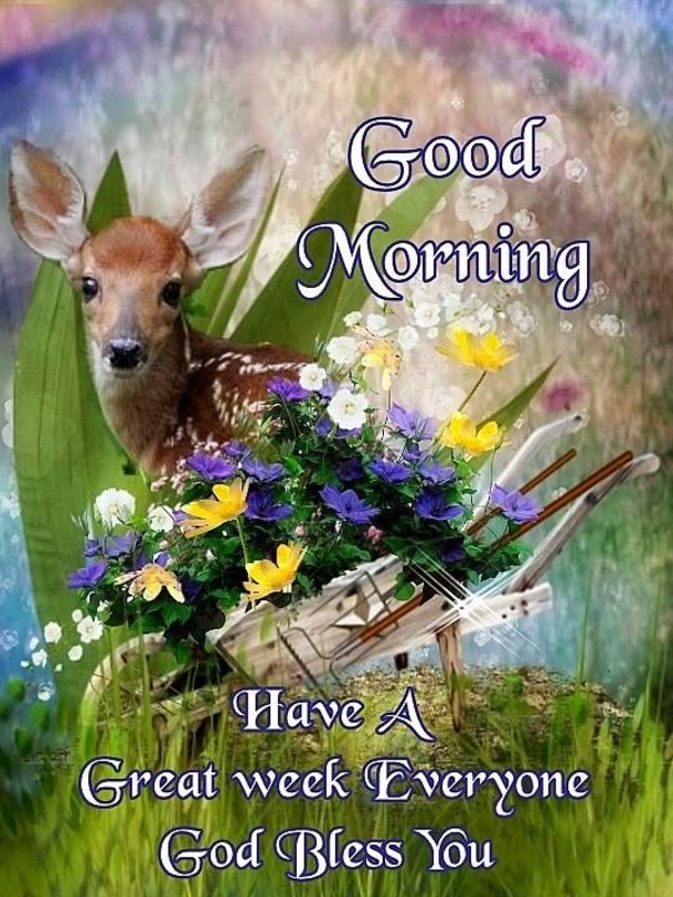 10 Good Morning Images To Jumpstart Your Day - picture 4