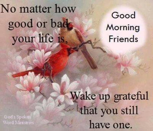 10 Good Morning Images To Share With Your Lovely Friends - picture 8