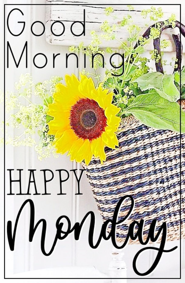 10 Good Morning Images With Happy Monday Wishes - picture 2