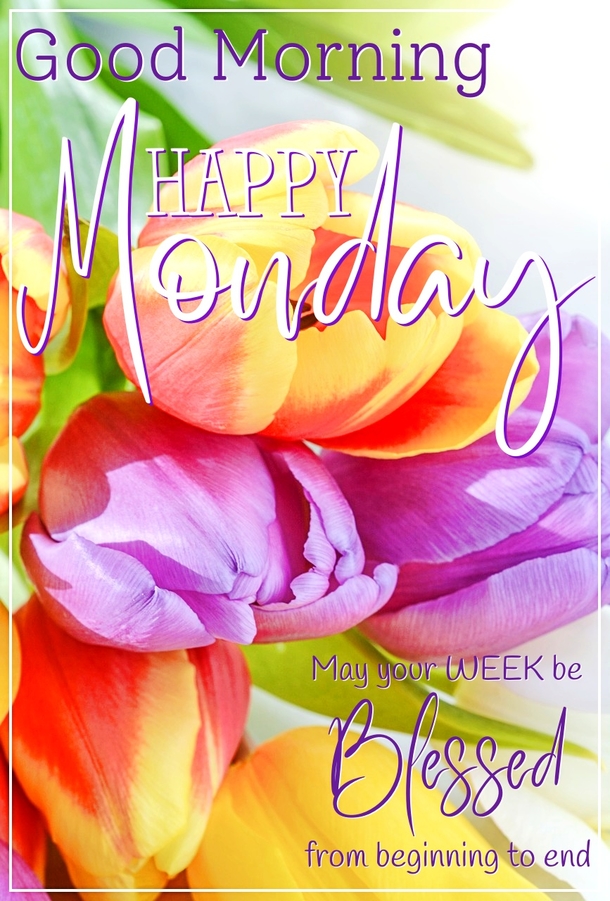 10 Good Morning Images With Happy Monday Wishes - picture 6