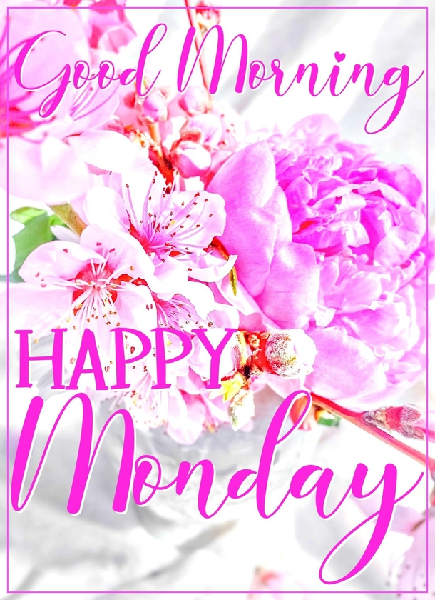 10 Good Morning Images With Happy Monday Wishes - picture 7