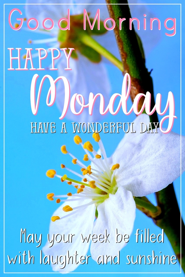 10 Good Morning Images With Happy Monday Wishes - picture 8