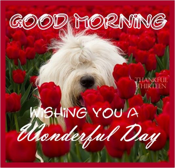 10 Good Morning Images With Happy Monday Wishes - picture 9
