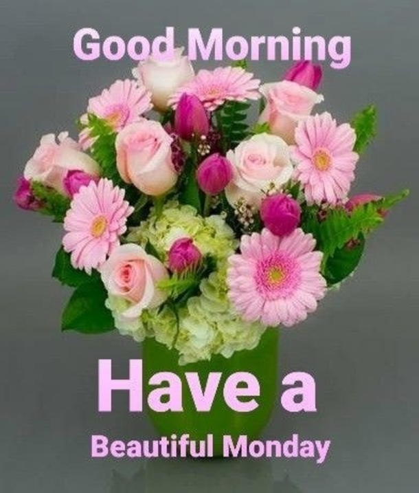 10 Good Morning Images With Powerful Words To Start Your Happy Monday - picture 10