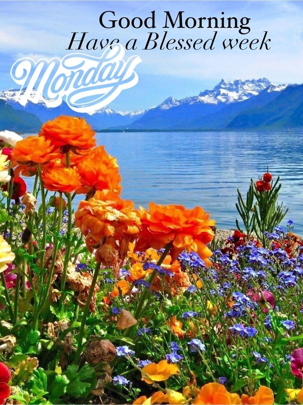 10 Good Morning Images With Powerful Words To Start Your Happy Monday - picture 3