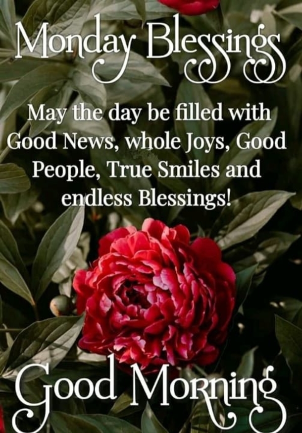 10 Good Morning Images With Powerful Words To Start Your Happy Monday - picture 4