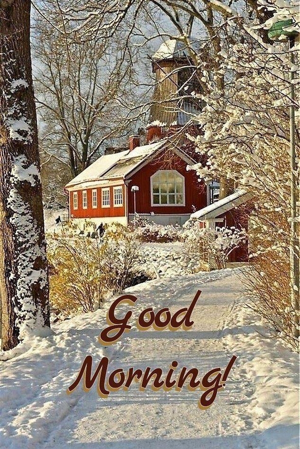 10 Good Morning Images With Quotes In 2024 To Fill Your Day With Joy - picture 4