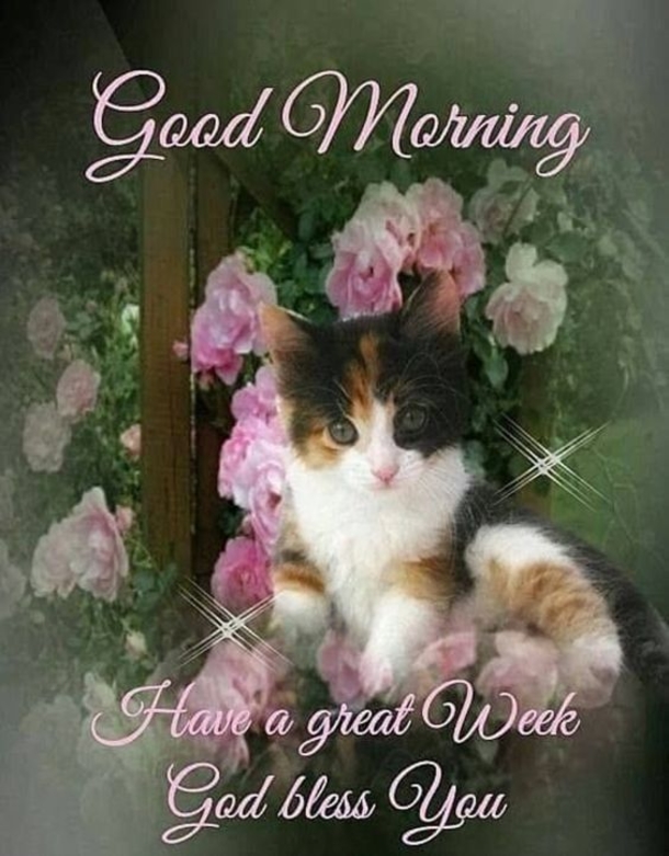 10 Good Morning Inspired Quotes To Make Your Day A Happy One - picture 10