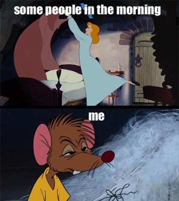 10 Good Morning Memes That'll Put A Smile On Your Face - picture 4