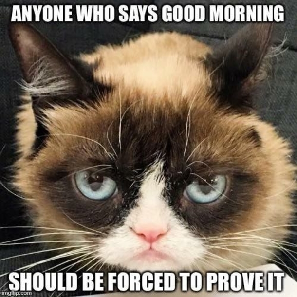 10 Good Morning Memes That'll Put A Smile On Your Face - picture 9