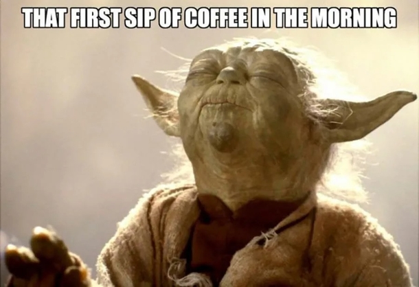10 Good Morning Memes To Make Your Day Much Better - picture 11