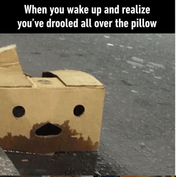 10 Good Morning Memes To Make Your Day Much Better - picture 14