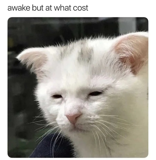 10 Good Morning Memes To Make Your Day Much Better - picture 15