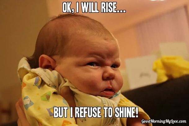 10 Good Morning Memes To Make Your Day Much Better - picture 6