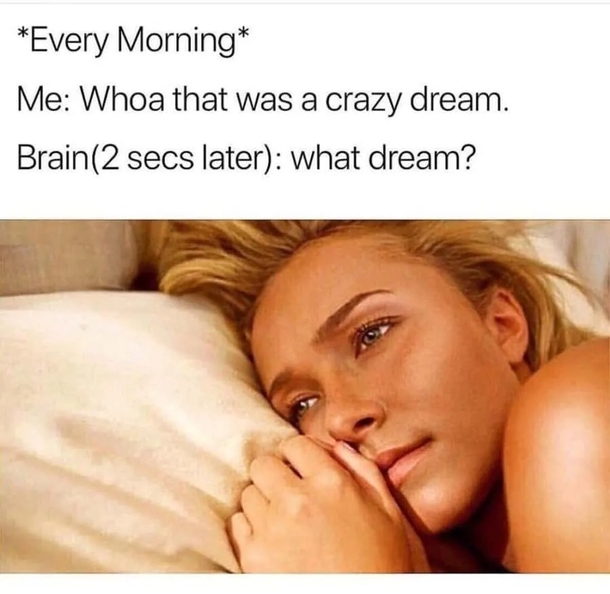 10 Good Morning Memes To Make Your Day Much Better - picture 7