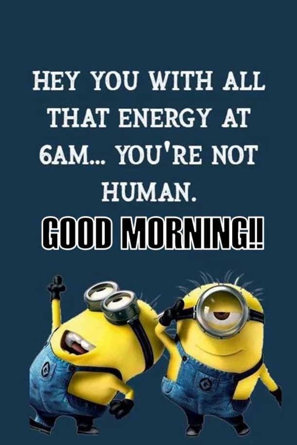 10 Good Morning Memes To Really Make Your Day - picture 2