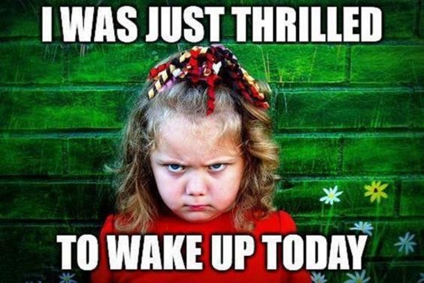 10 Good Morning Memes To Really Make Your Day - picture 3