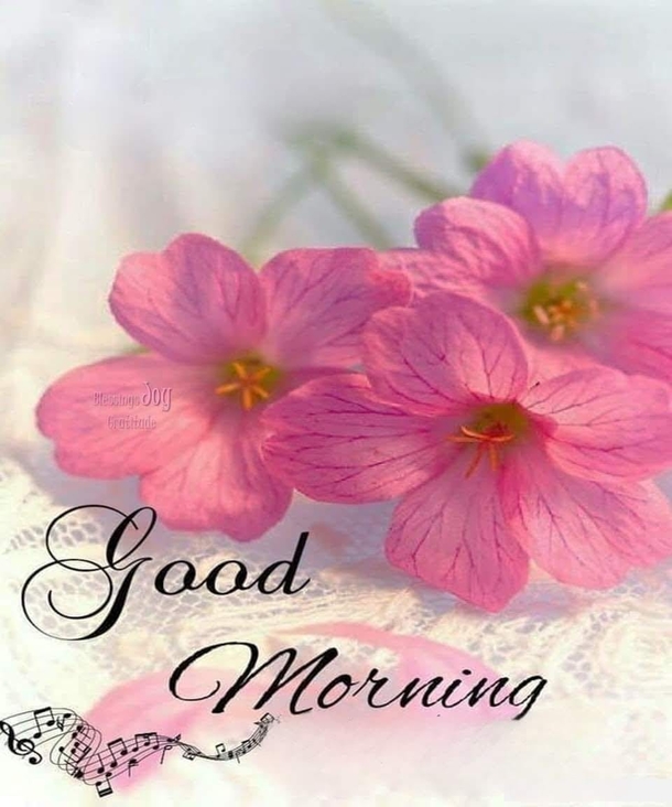 10 Good Morning Messages: For Her, Him, Family And Friends - picture 10