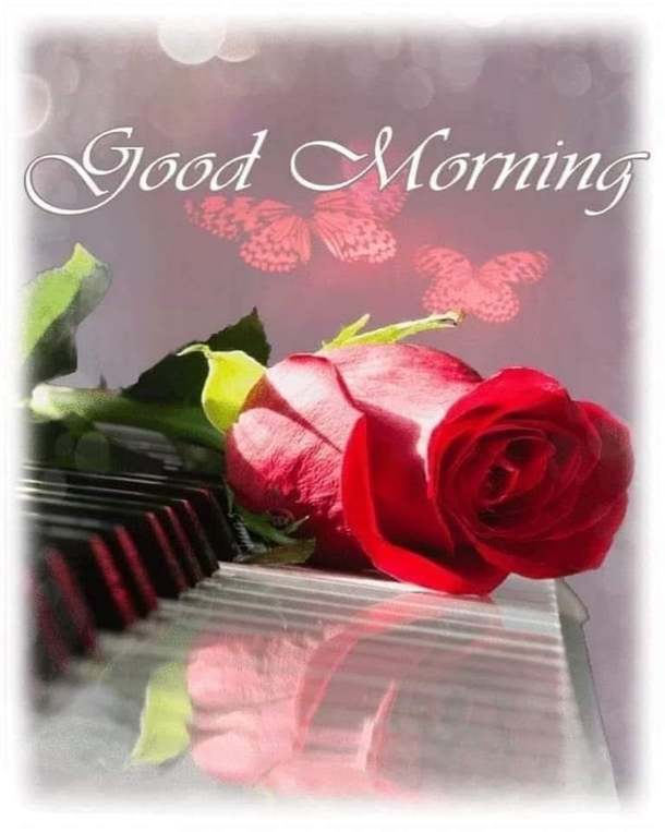 10 Good Morning Messages: For Her, Him, Family And Friends - picture 12
