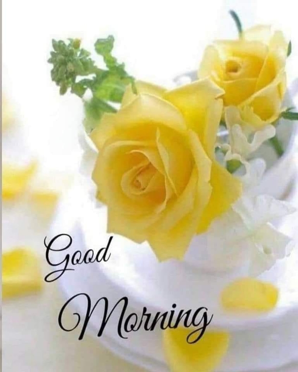 10 Good Morning Messages: For Her, Him, Family And Friends - picture 7