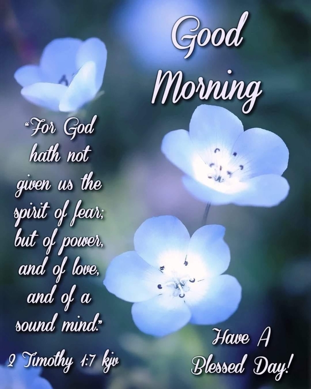 10 Good Morning Messages: For Her, Him, Family And Friends - picture 8