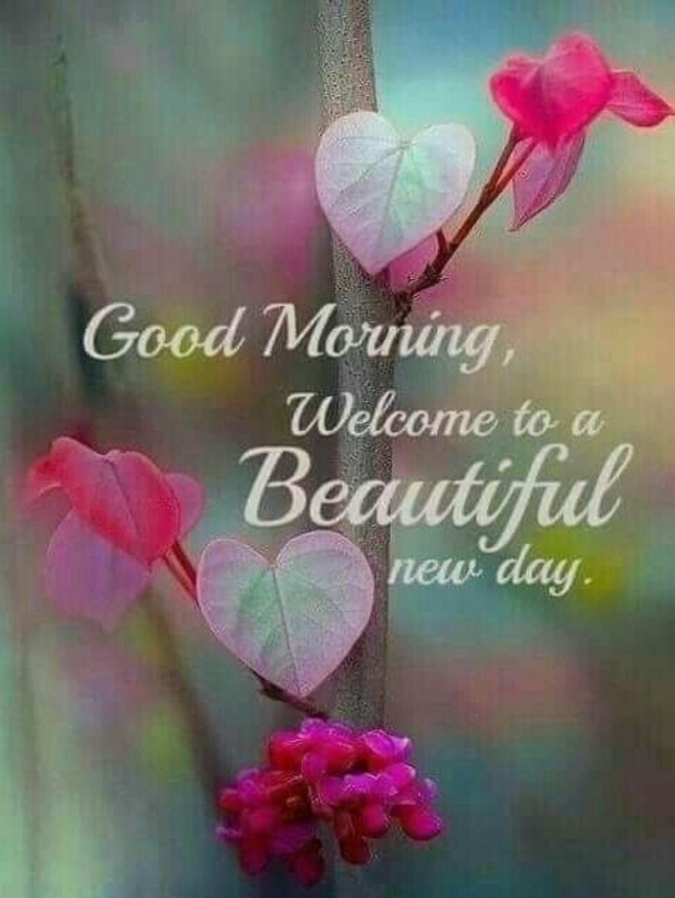 10 Good Morning Messages For Him & Her - picture 2