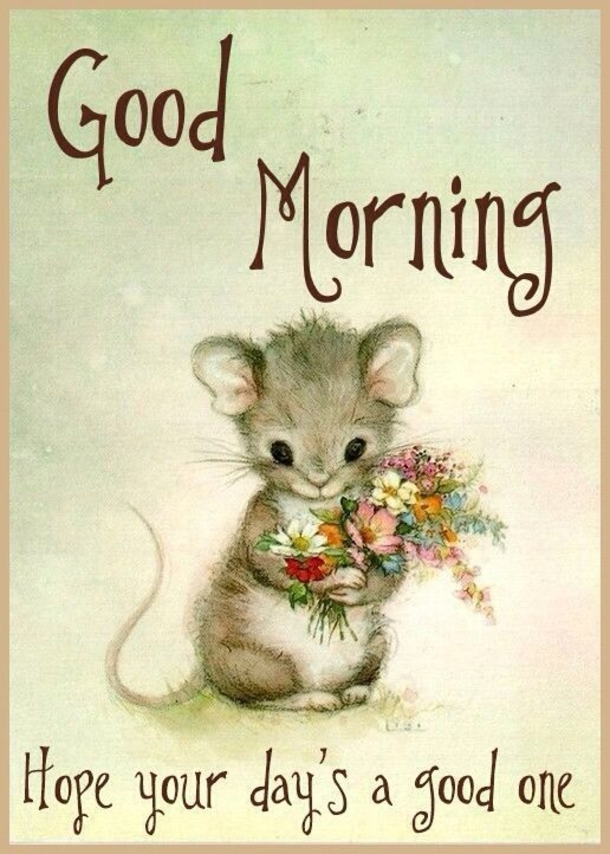 10 Good Morning Messages For Him & Her - picture 8