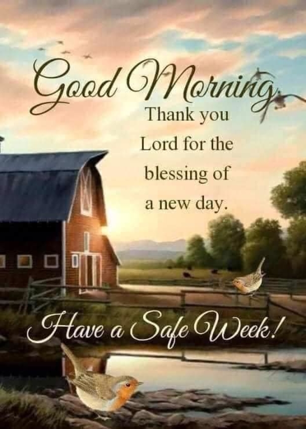 10 Good Morning Messages To Make Your Week Bright And Beautiful - picture 3