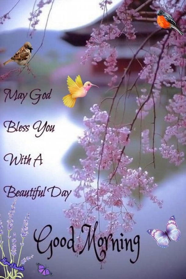 10 Good Morning Messages To Make Your Week Bright And Beautiful - picture 8