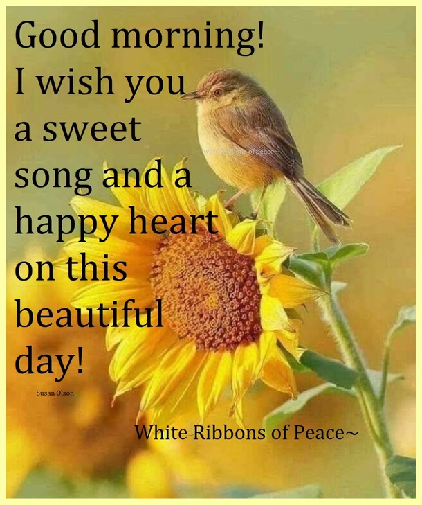 10 Good Morning Messages To Warm Your Heart And Your Day - picture 8
