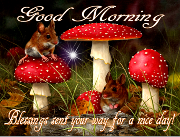 10+ Good Morning Messages & Captions To Bless Your Day - picture 13