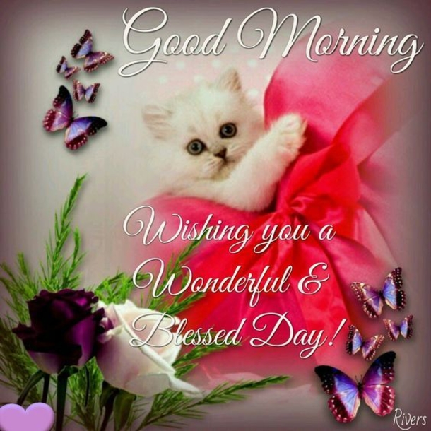 10+ Good Morning Messages & Captions To Bless Your Day - picture 5