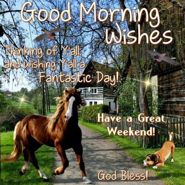 10+ Good Morning Messages & Captions To Bless Your Day - picture 9
