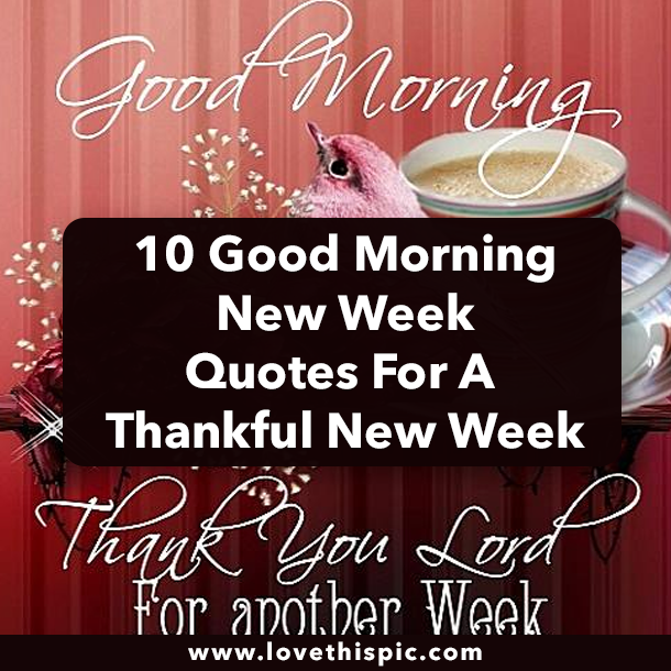 10 Good Morning New Week Quotes For A Thankful New Week
