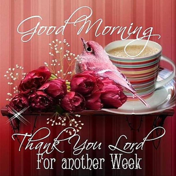 10 Good Morning New Week Quotes For A Thankful New Week - picture 2