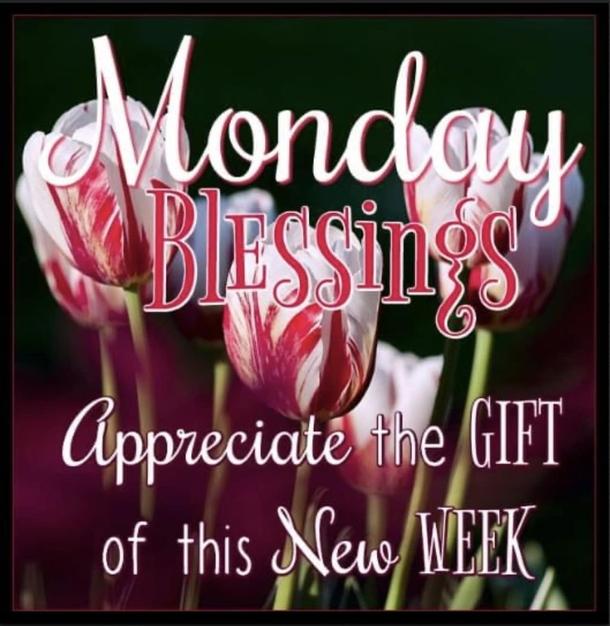 10 Good Morning New Week Quotes For A Thankful New Week - picture 8