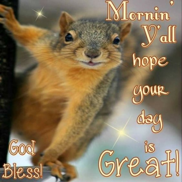 10 Good Morning Pictures With Quotes To Inspire A Beautiful Morning - picture 5
