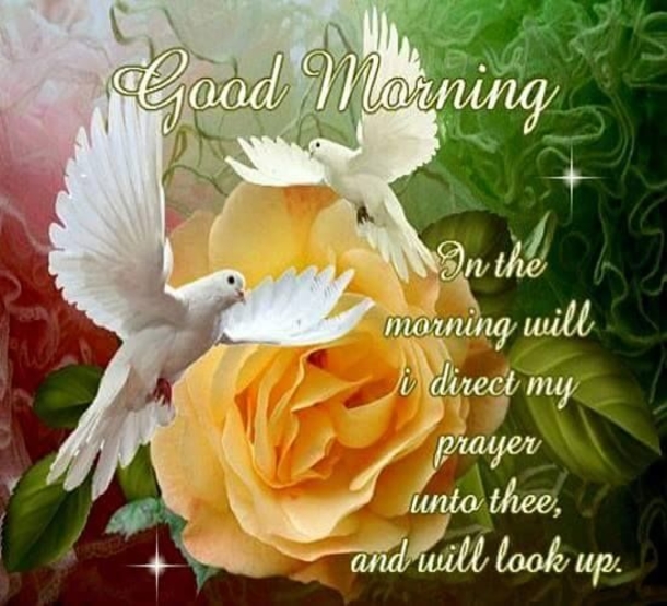 10 Good Morning Prayers To Help You Be Blessed Today - picture 5