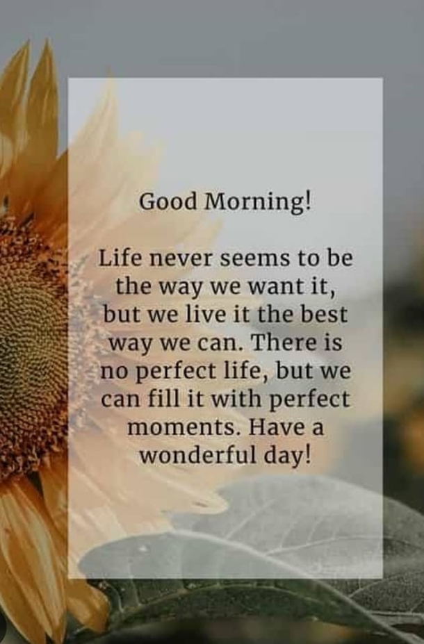 10 Good Morning Quote Pictures To Celebrate A New Day - picture 11