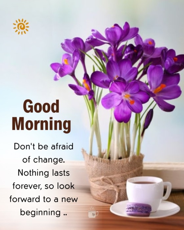 10 Good Morning Quote Pictures To Celebrate A New Day - picture 4