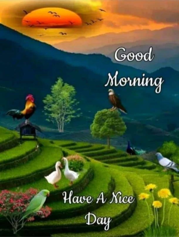 10 Good Morning Quote Pictures To Celebrate A New Day - picture 8