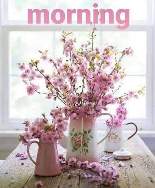 10 Good Morning Quote Pictures To Celebrate A New Day - picture 9