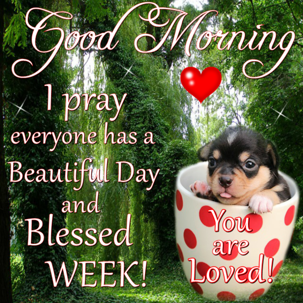 10 Good Morning Quote Pictures To Make The Day A Beautiful One - picture 10